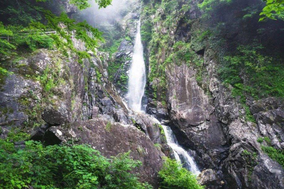 确定了!河西的“重大地标”,终于启动!