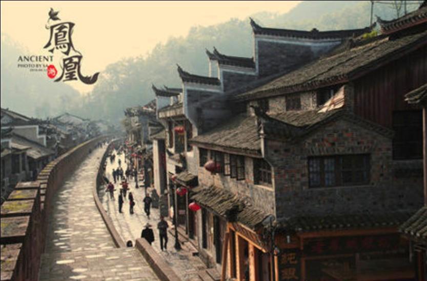 逗小猴开心系列165